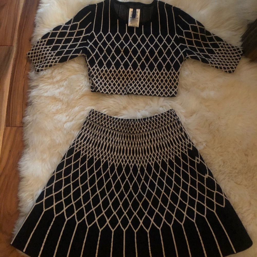 Bcbgmaxazria crop top and skirt set